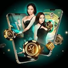 779bet